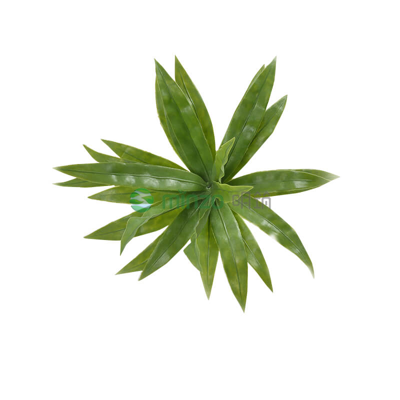 萬(wàn)年青束